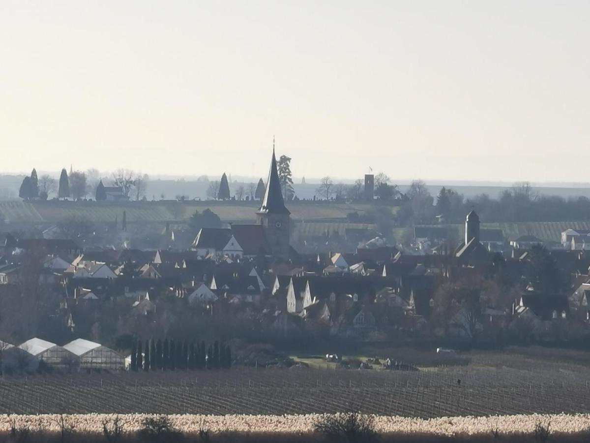 Ferienwohnung Haus Willi Freinsheim Exteriör bild